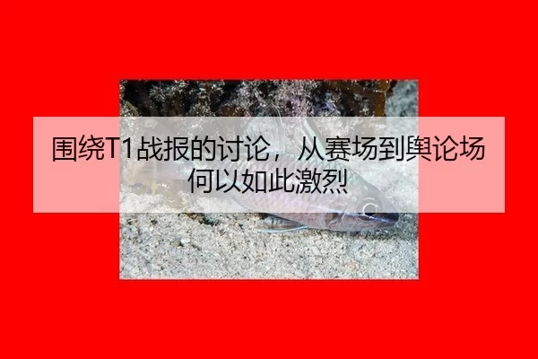 围绕T1战报的讨论，从赛场到舆论场何以如此激烈